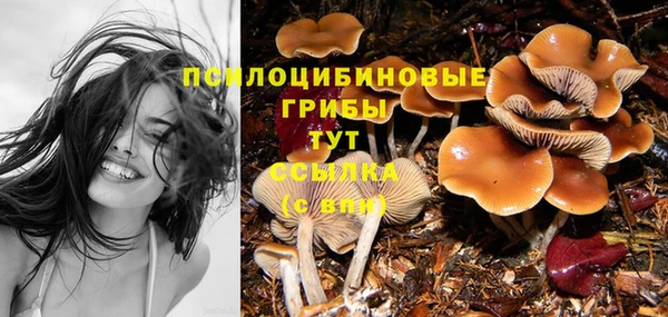 мефедрон мука Кодинск